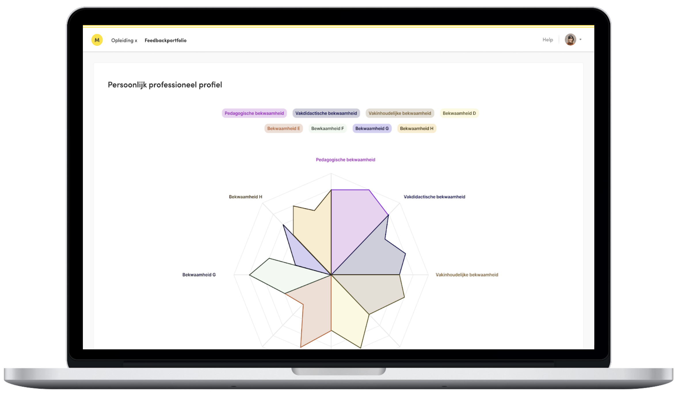 Feedback portfolio spinnenweb